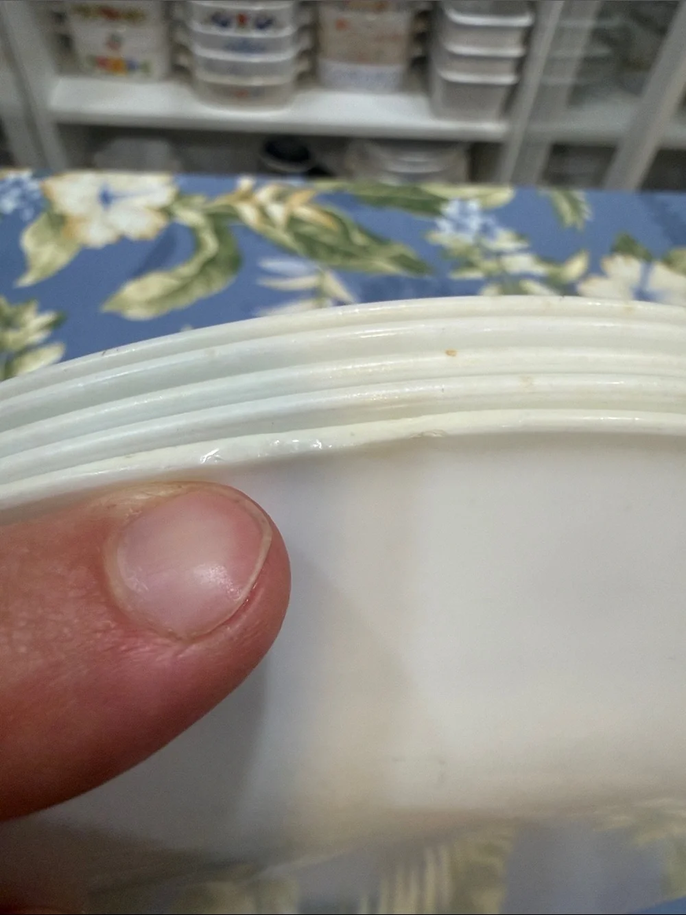 Five Corelle burgundy Rose 10 1/4 inch dinner plates